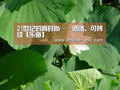 乐鱼官网