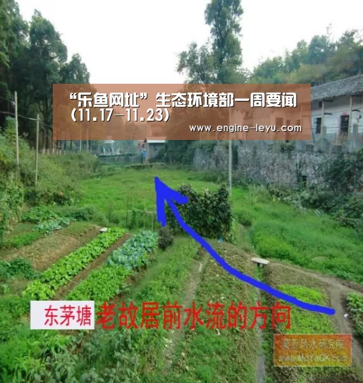 乐鱼网址